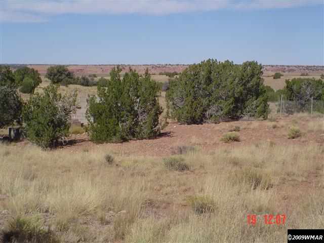 391 Apache County Road Concho, AZ 85924 - Photo 7 of 38