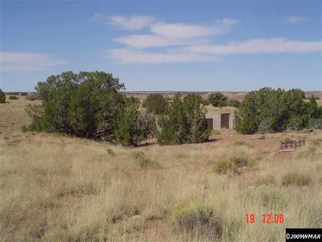 391 Apache County Road Concho, AZ 85924 - Photo 8 of 38