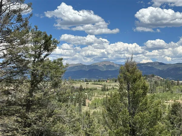 a view of a bunch of flowers in middle