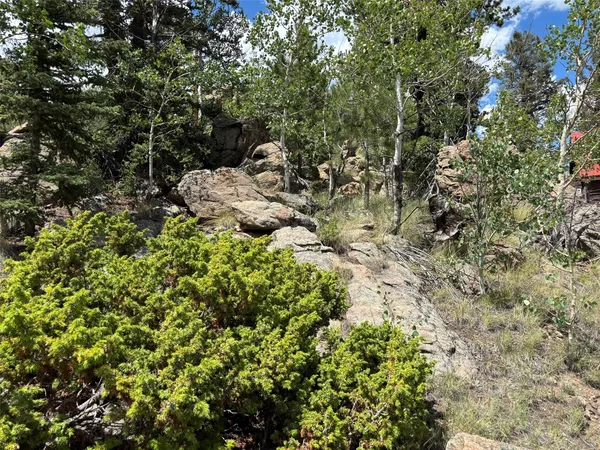 a view of a backyard of the house