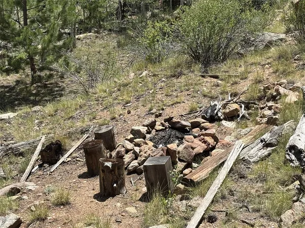 a view of a bunch of trees