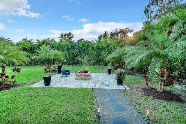 a view of a yard with plants and trees
