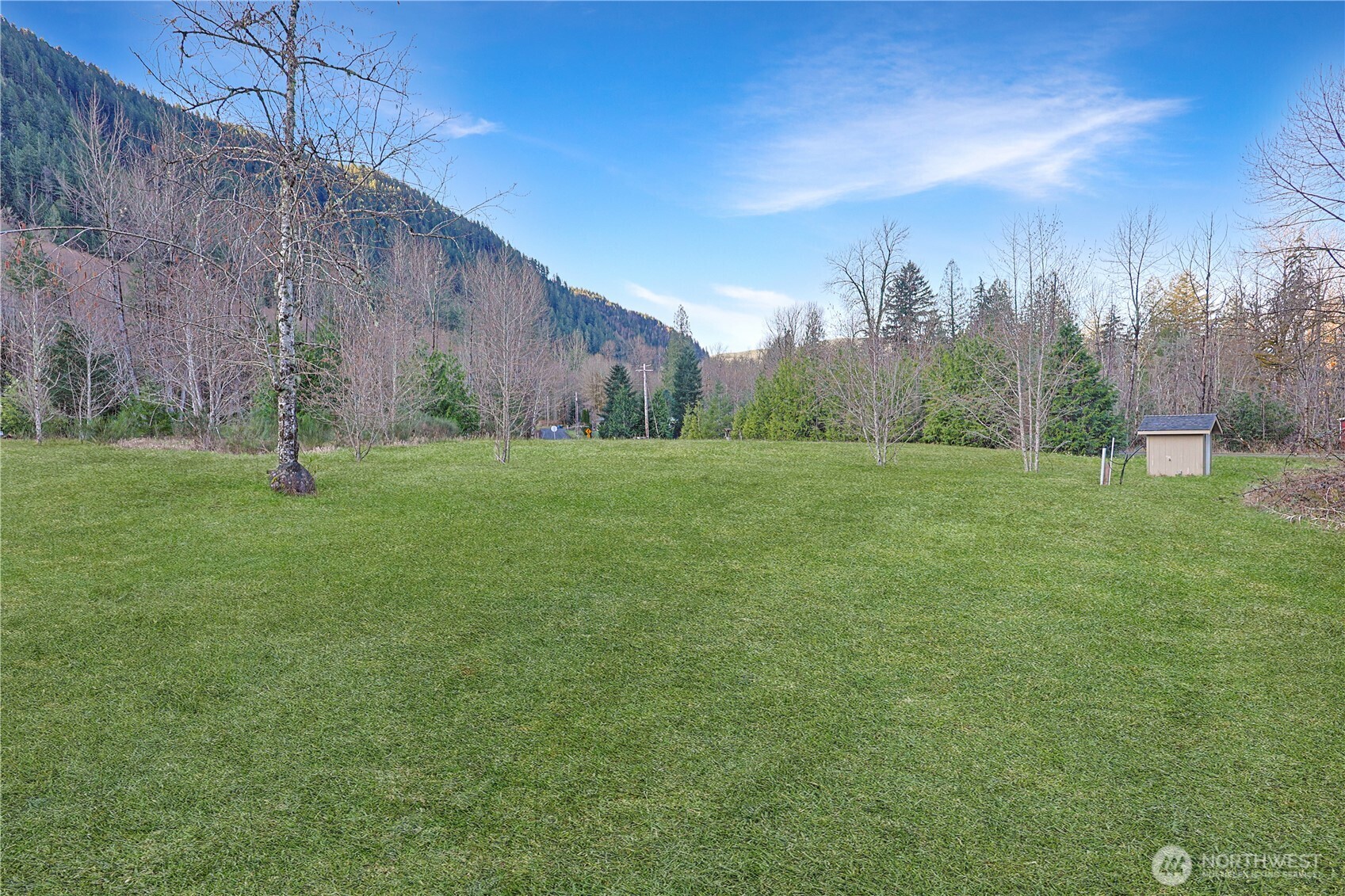 112 Whitewater Way Morton, WA 98356 - Photo 27 of 33 a grassy field with trees in the background