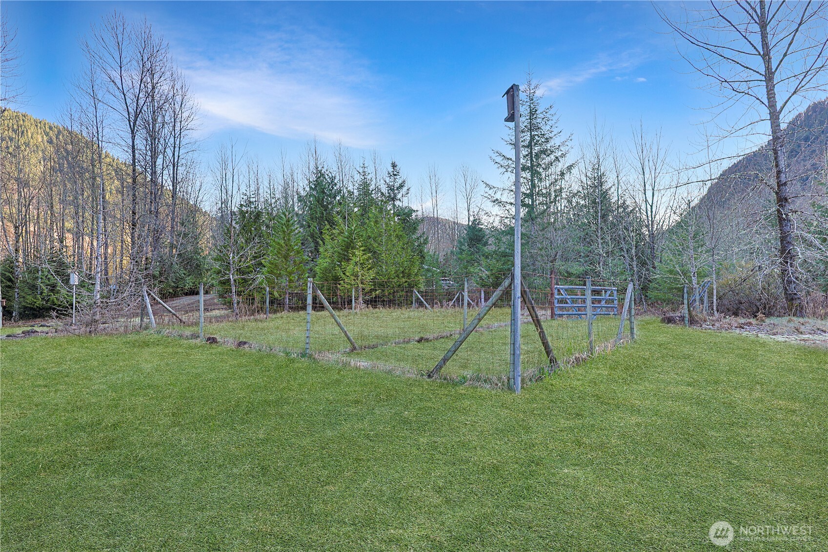112 Whitewater Way Morton, WA 98356 - Photo 30 of 33 a view of a park with large trees