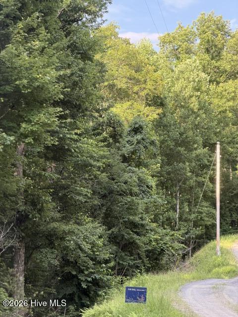Lot 37 Quiet Waters Road Murphy, NC 28906 - Photo 6 of 6