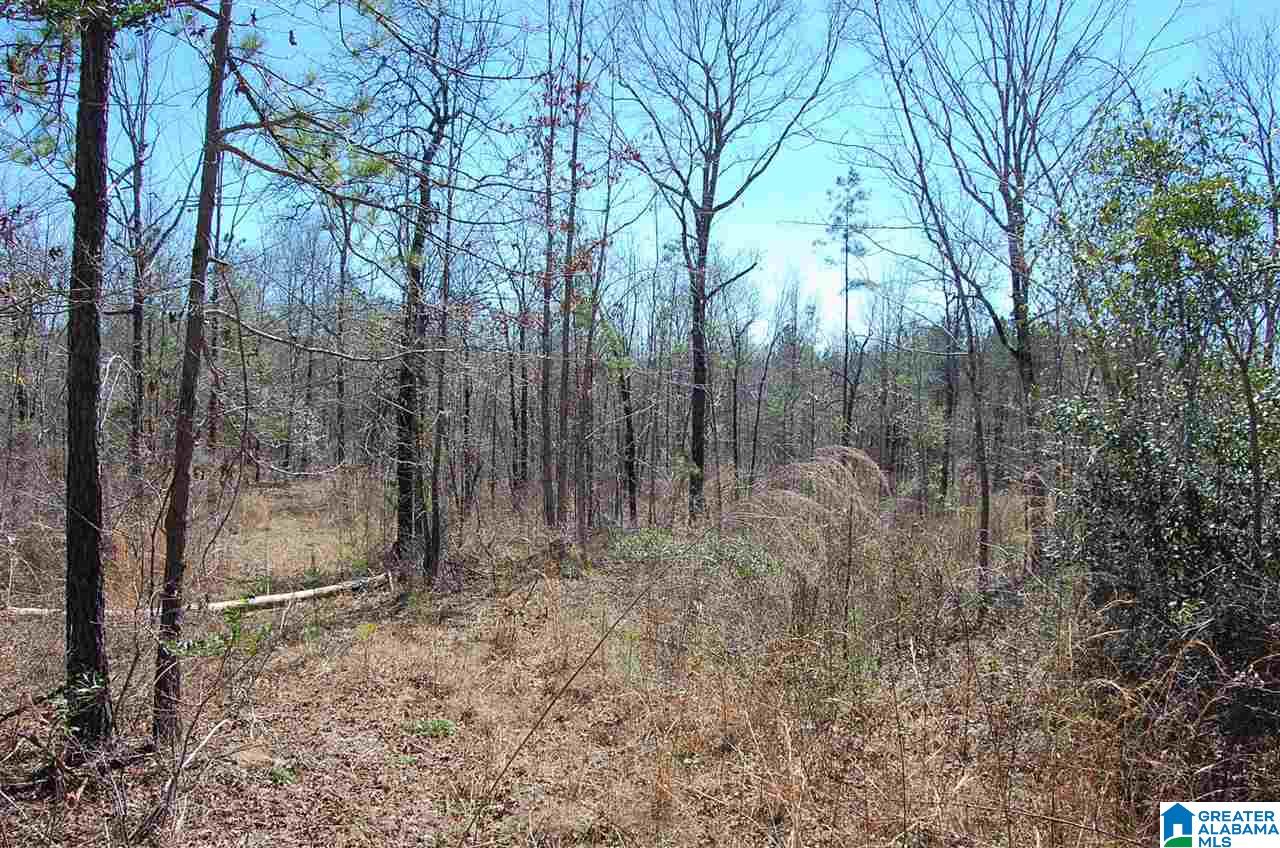 0 Melissa Robyn Road, Unit 1 Deatsville, AL 36022 - Photo 15 of 29