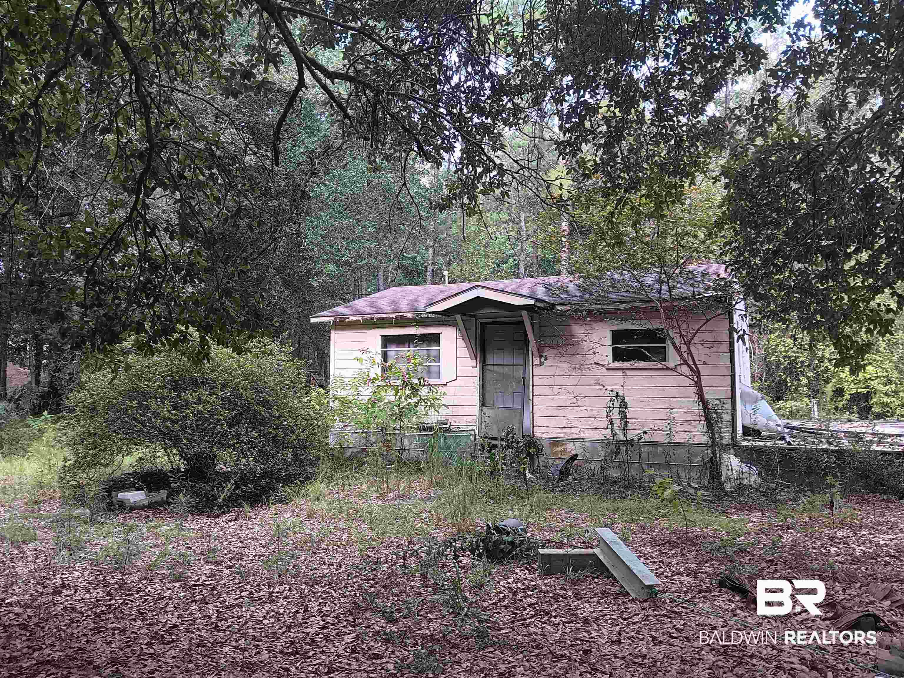 42311 Dixon Road South Bay Minette, AL 36507 - Photo 5 of 5 View of front of property