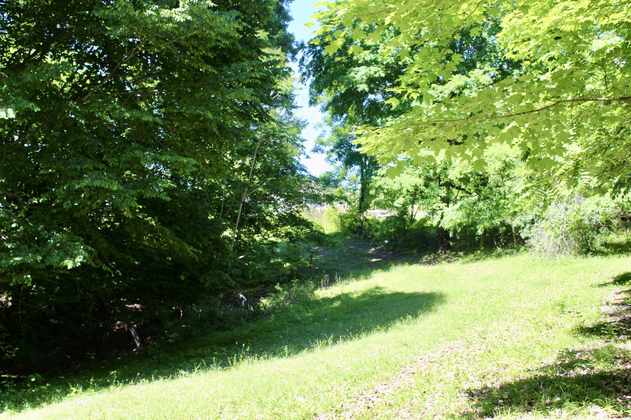 0 Hall Road Greenbrier, TN 37073 - Photo 21 of 28