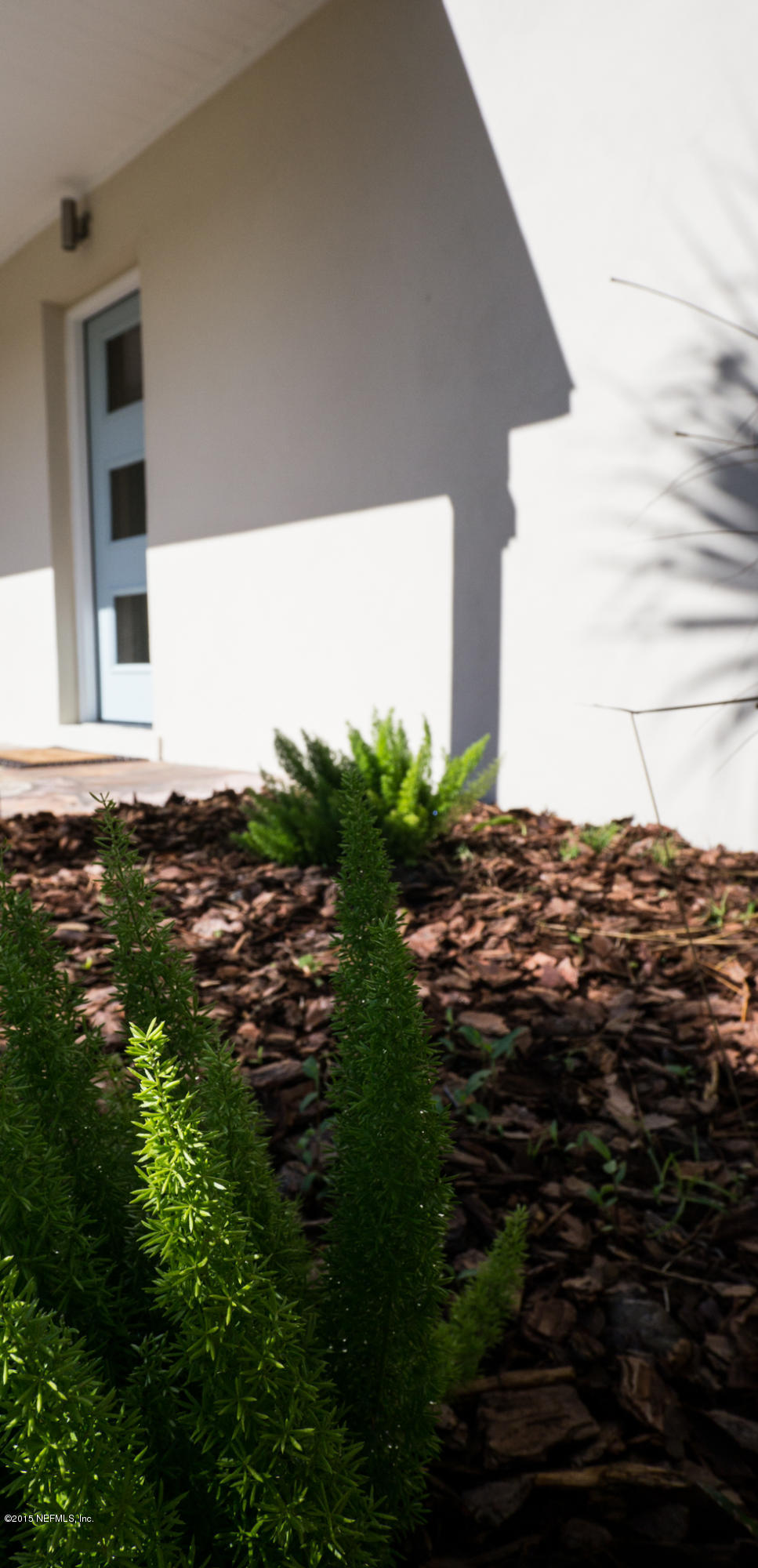 3721 Point Pleasant Road Jacksonville, FL 32217 - Photo 99 of 112 New Landscaping & Sod