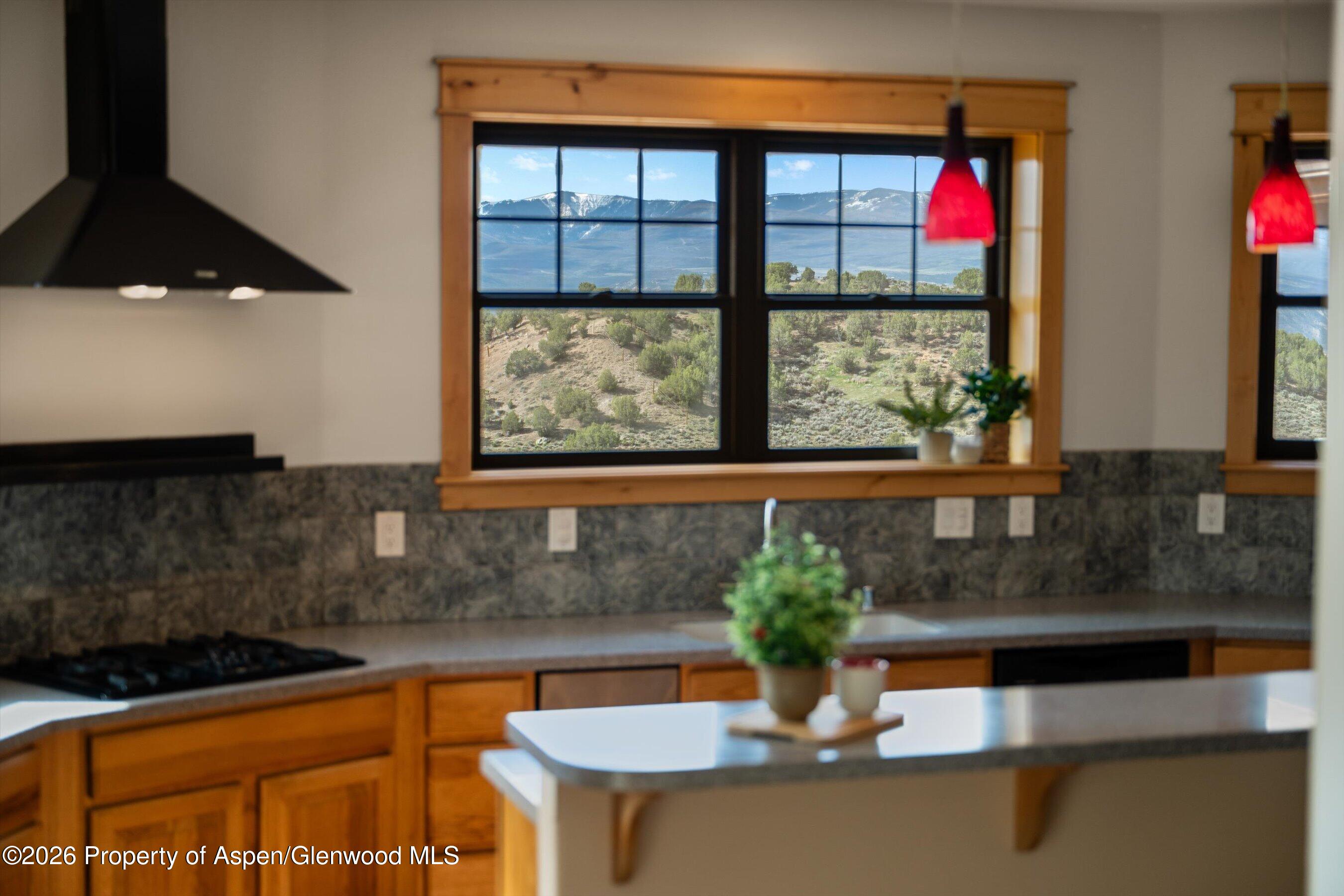 450 Summer Falls Road Silt, CO 81652 - Photo 10 of 50 28-450SummerFalls_26041028