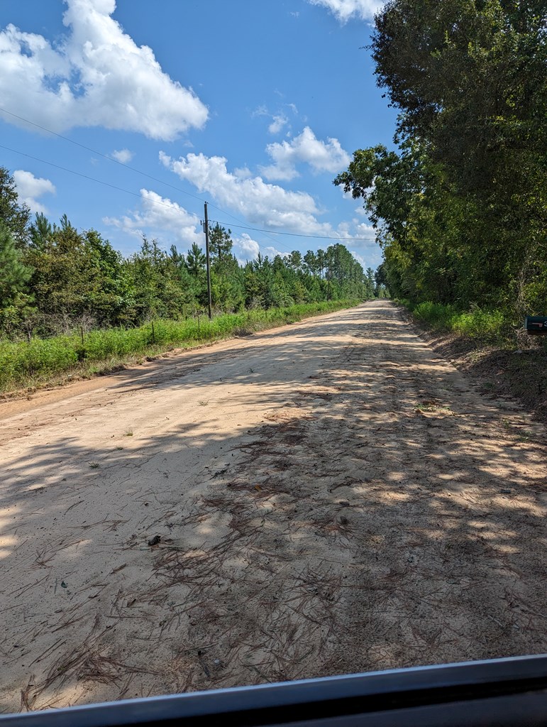 382 Friendship Road Gordon, AL 36343 - Photo 2 of 9
