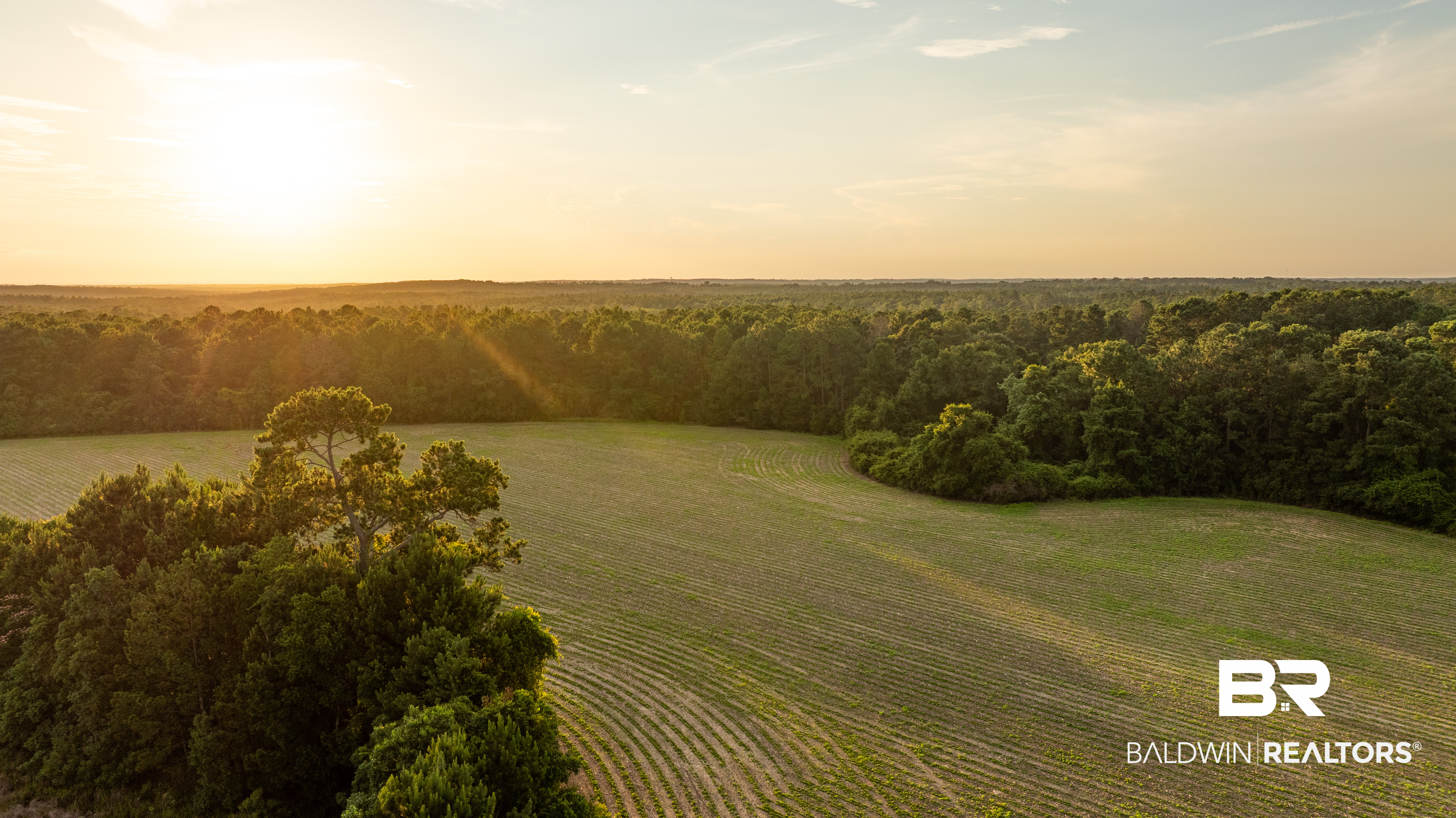 0 Bromley Road Stapleton, AL 36578 - Photo 12 of 48 Gallery Image 12