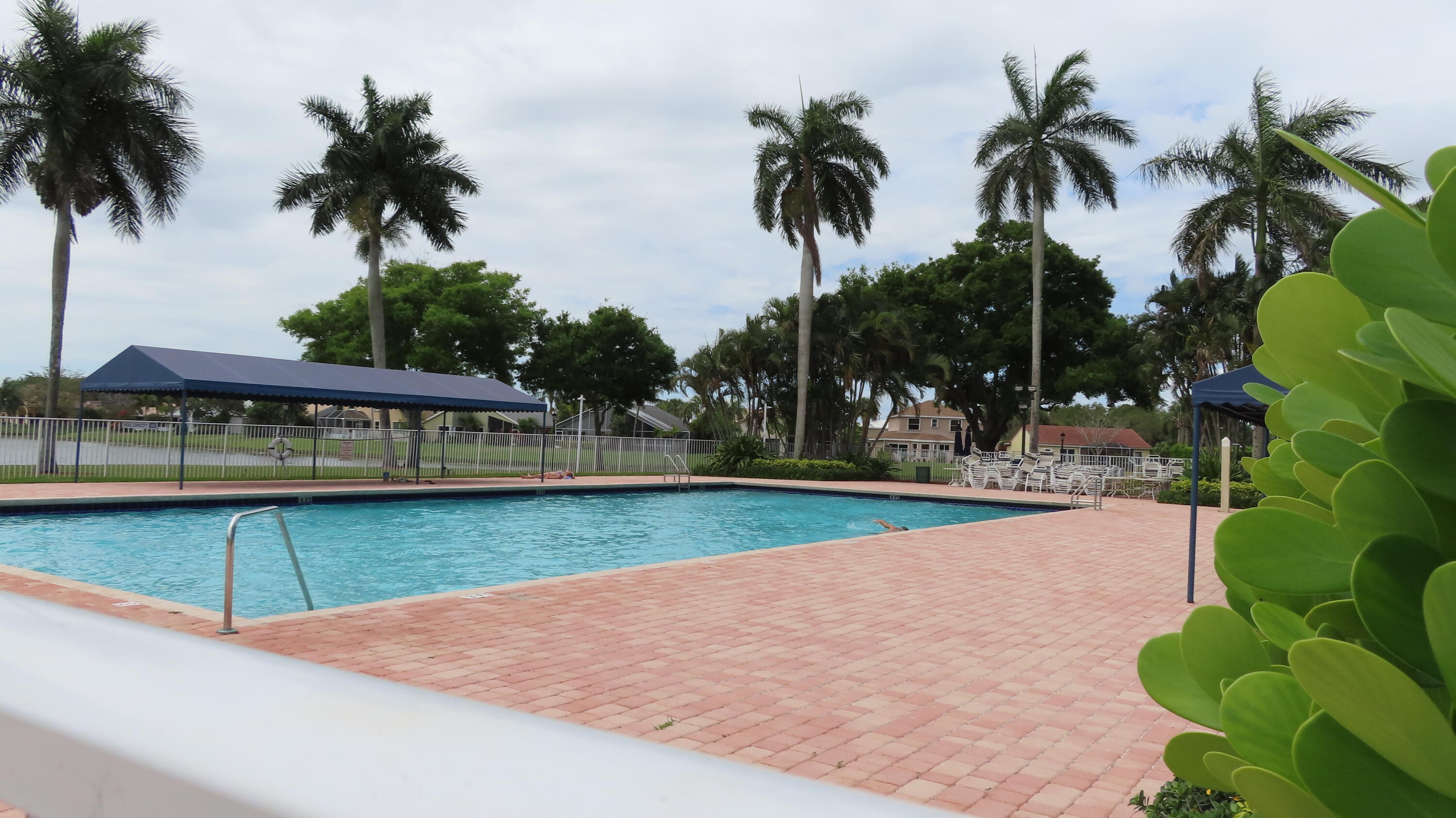 9874 Robins Nest Road Boca Raton, FL 33496 - Photo 78 of 89 Olympic heated pool
