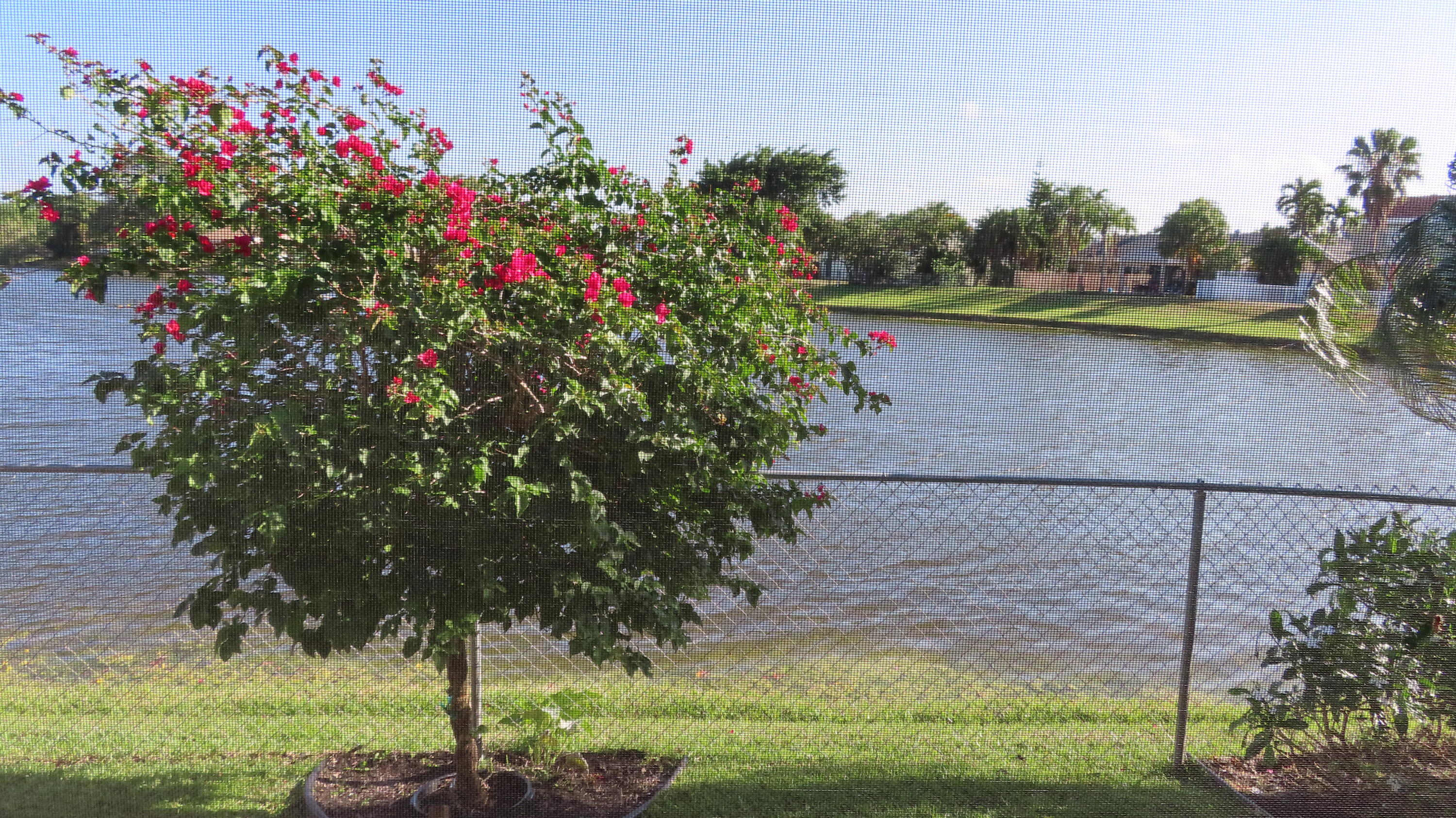 9874 Robins Nest Road Boca Raton, FL 33496 - Photo 10 of 89 Lake