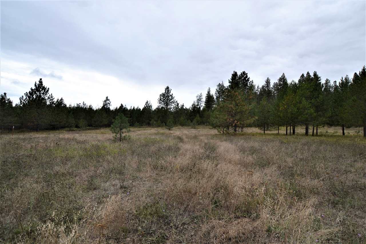 Nkn Darknell Road Elk, WA 99009 - Photo 1 of 20