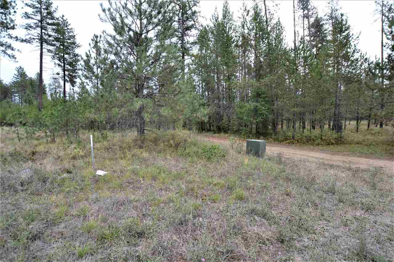 Nkn Darknell Road Elk, WA 99009 - Photo 2 of 20