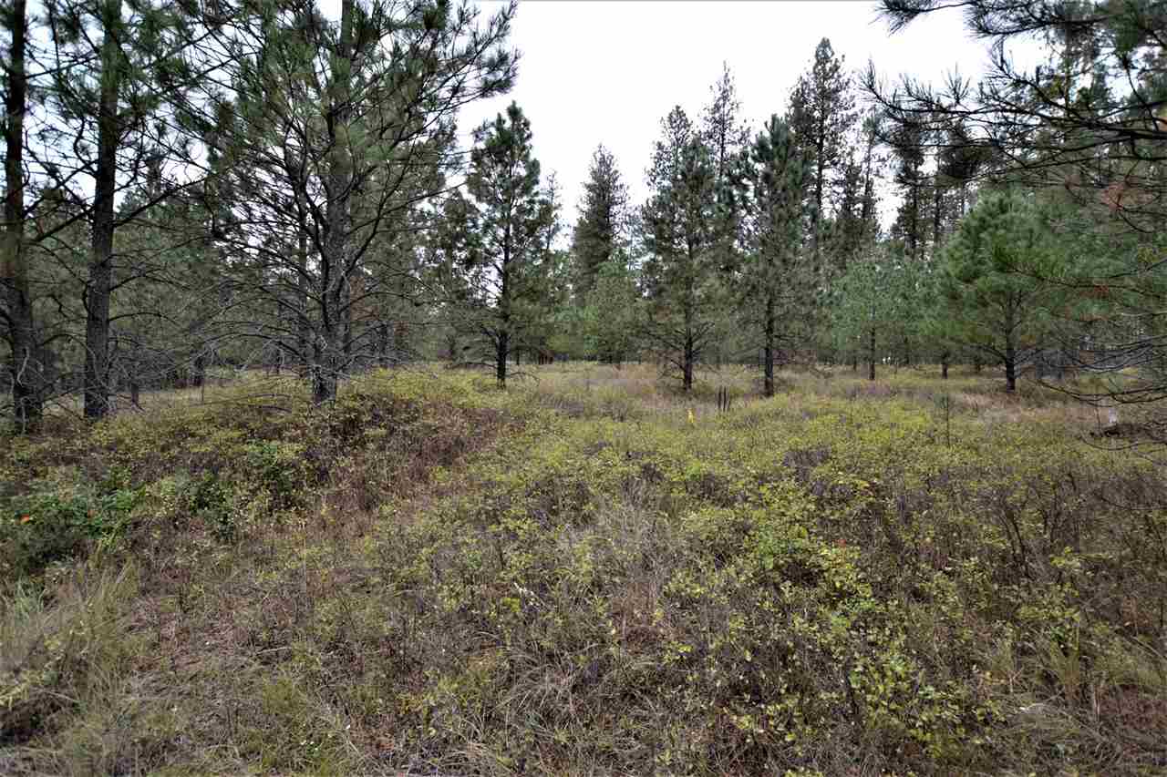 Nkn Darknell Road Elk, WA 99009 - Photo 11 of 20