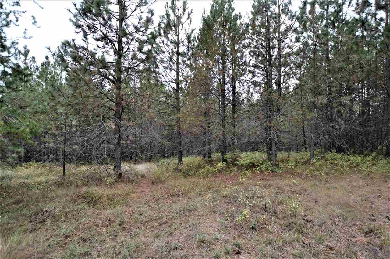 Nkn Darknell Road Elk, WA 99009 - Photo 12 of 20
