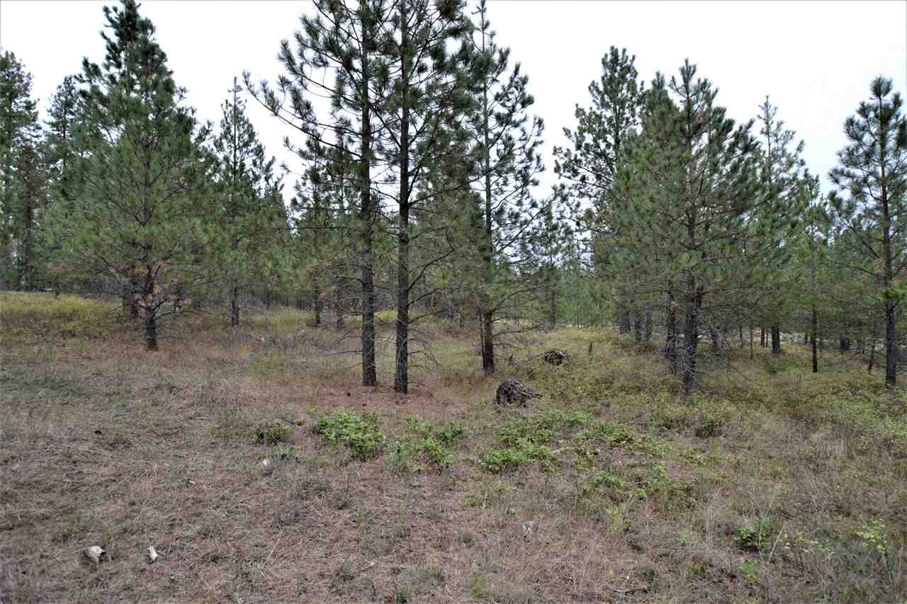 Nkn Darknell Road Elk, WA 99009 - Photo 13 of 20