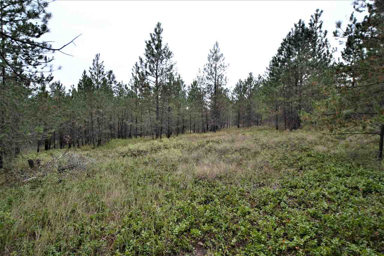 Nkn Darknell Road Elk, WA 99009 - Photo 14 of 20