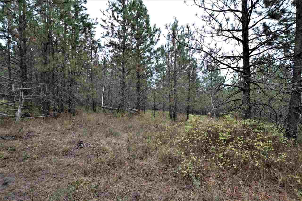 Nkn Darknell Road Elk, WA 99009 - Photo 15 of 20