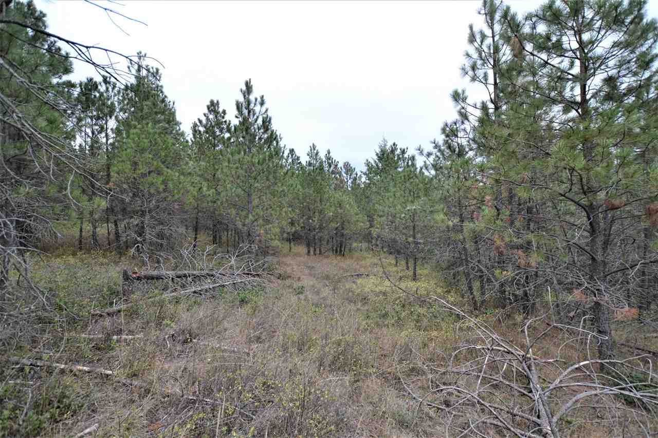 Nkn Darknell Road Elk, WA 99009 - Photo 16 of 20