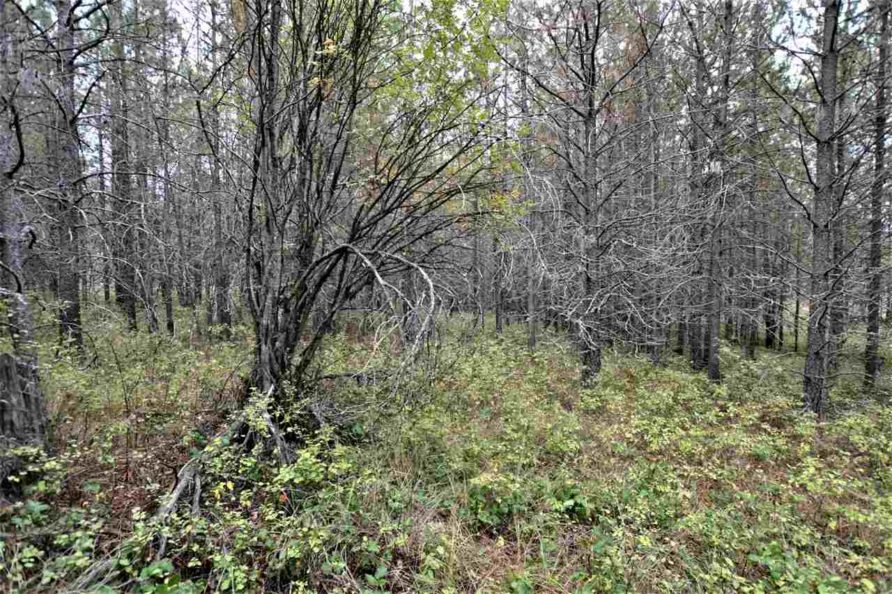 Nkn Darknell Road Elk, WA 99009 - Photo 18 of 20