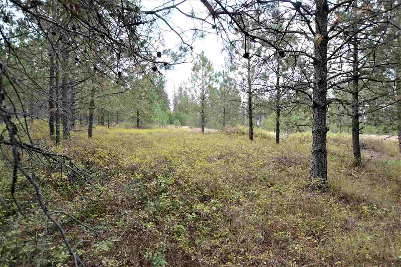 Nkn Darknell Road Elk, WA 99009 - Photo 19 of 20