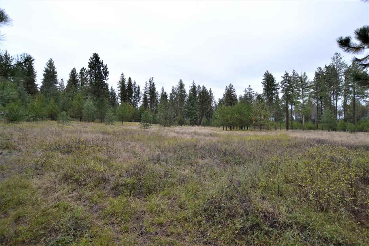 Nkn Darknell Road Elk, WA 99009 - Photo 20 of 20