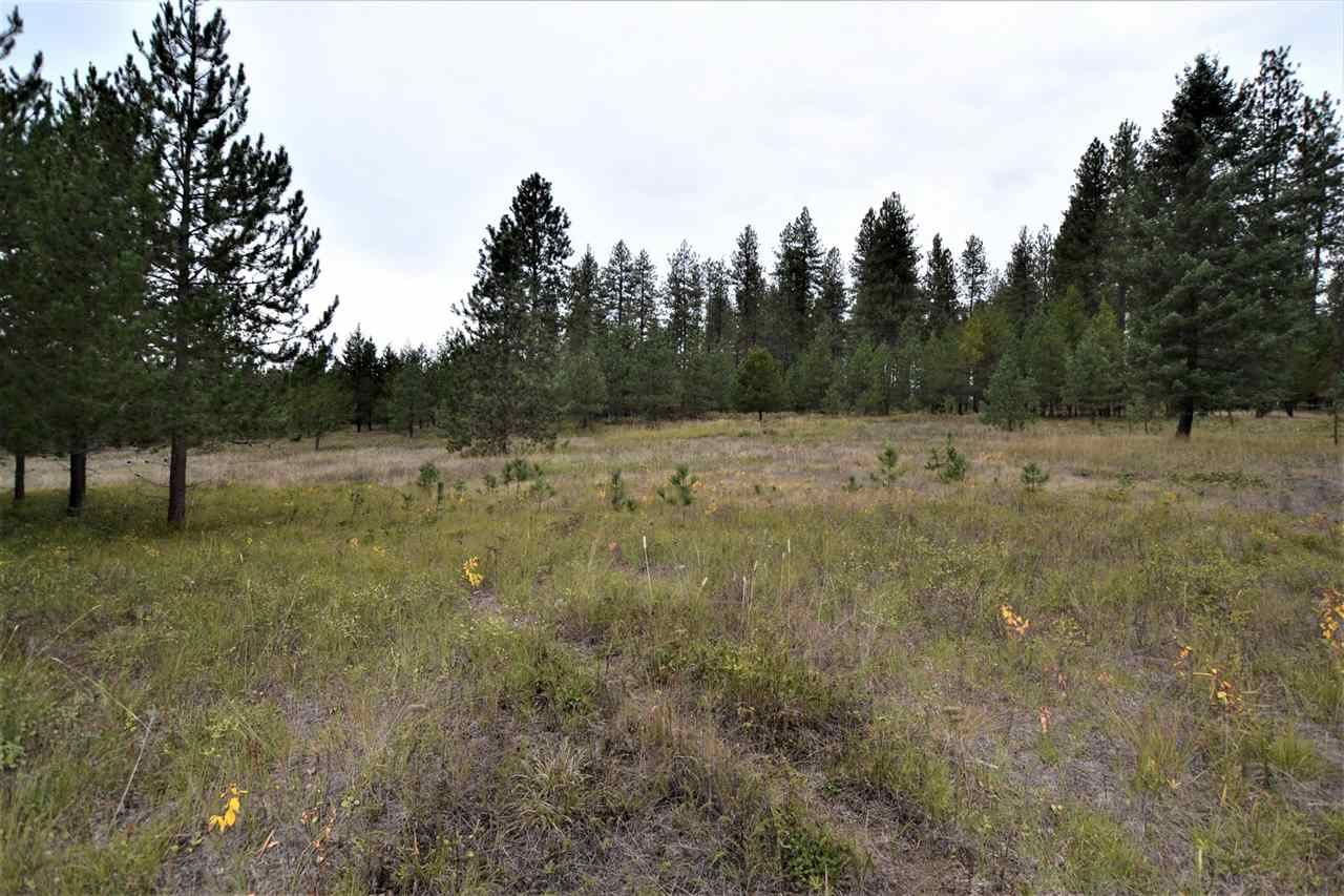 Nkn Darknell Road Elk, WA 99009 - Photo 3 of 20