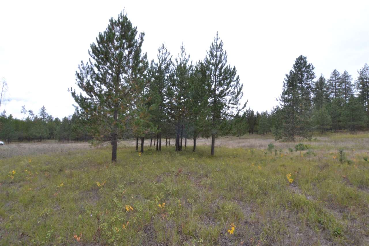 Nkn Darknell Road Elk, WA 99009 - Photo 4 of 20