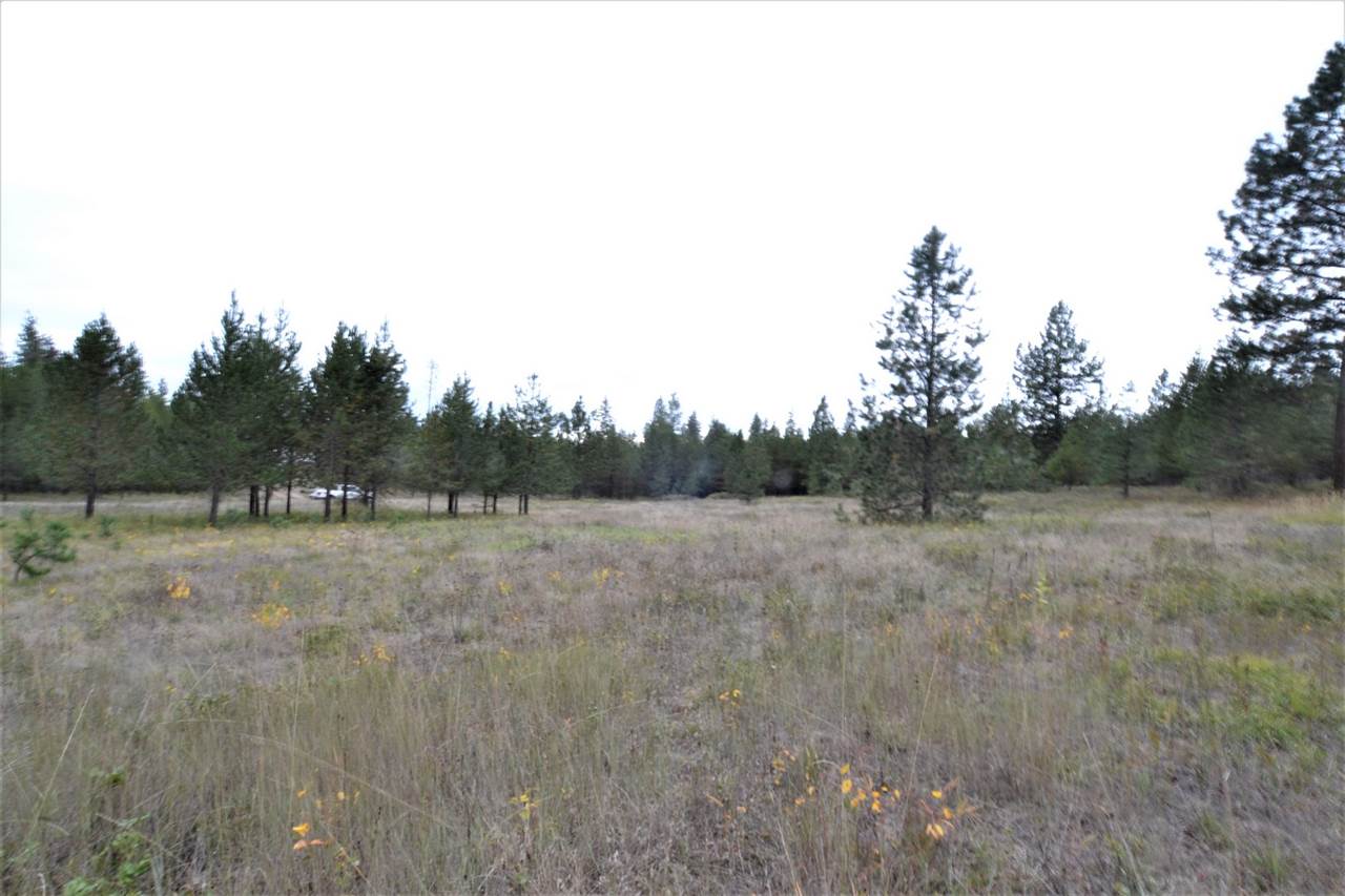 Nkn Darknell Road Elk, WA 99009 - Photo 5 of 20