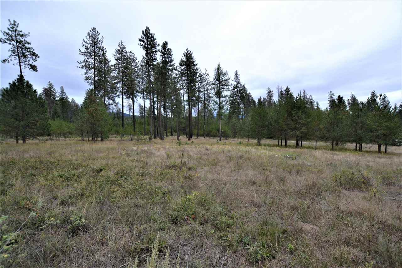 Nkn Darknell Road Elk, WA 99009 - Photo 6 of 20
