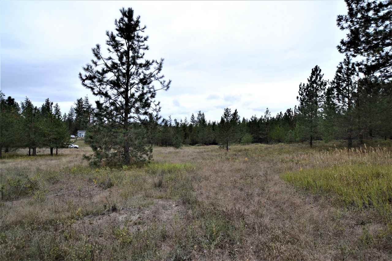 Nkn Darknell Road Elk, WA 99009 - Photo 7 of 20