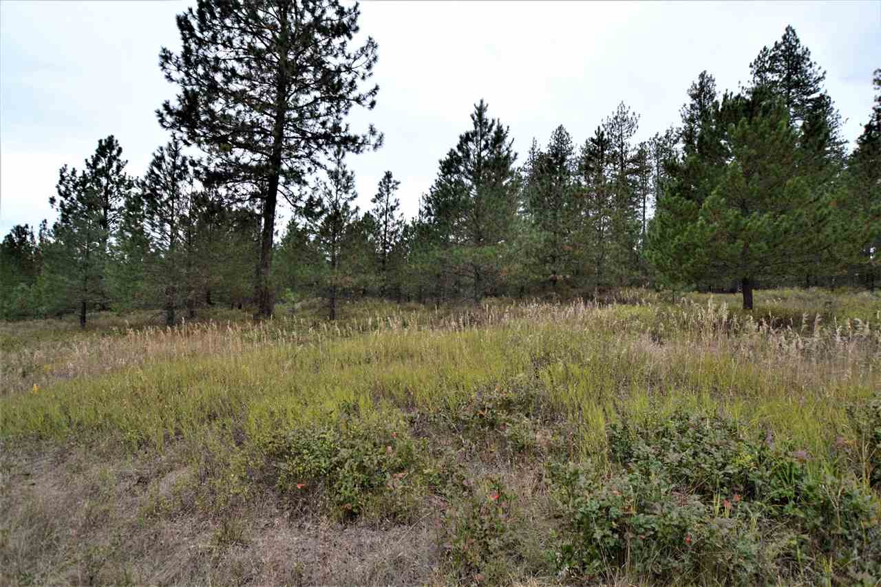 Nkn Darknell Road Elk, WA 99009 - Photo 8 of 20