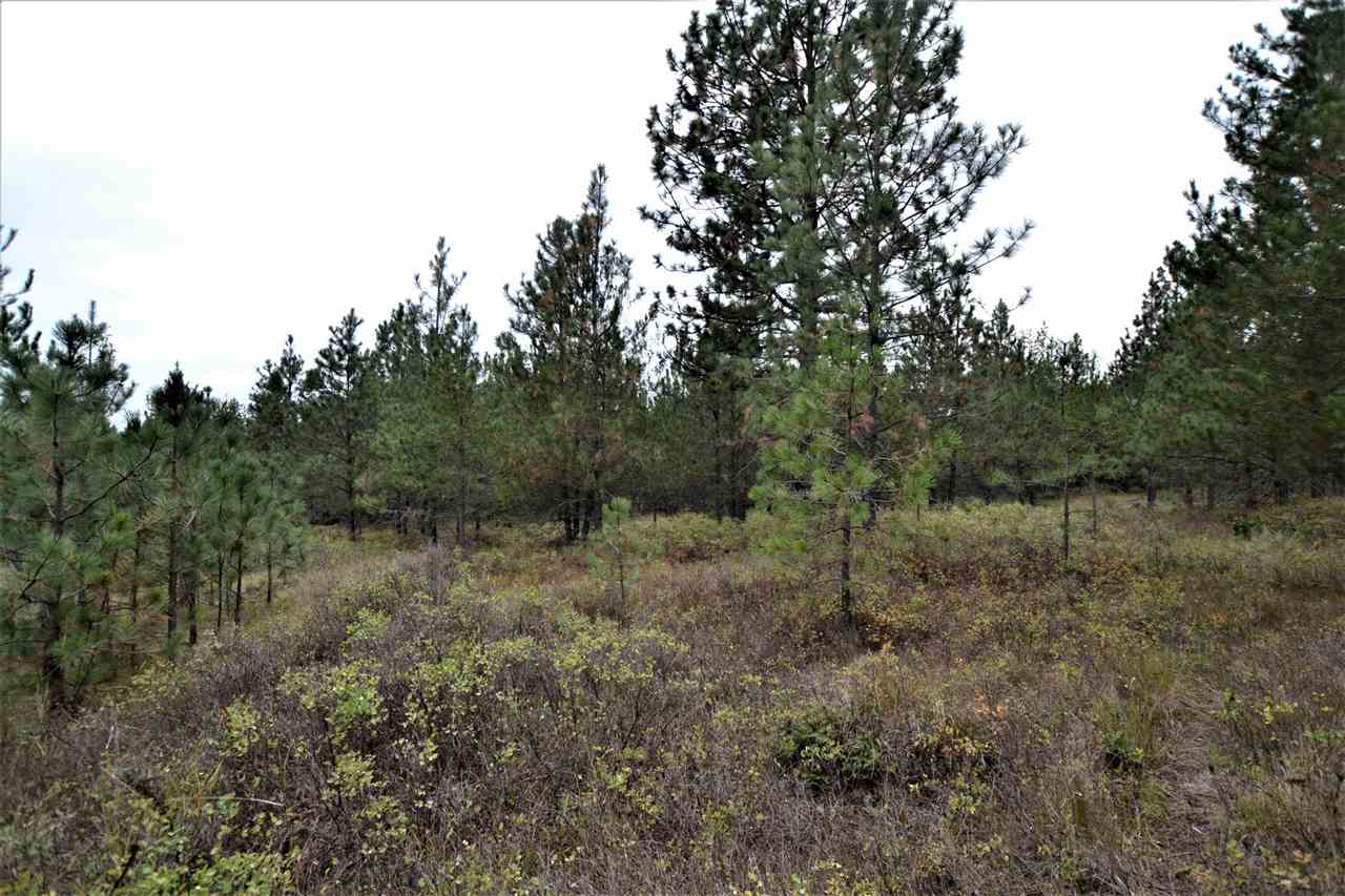 Nkn Darknell Road Elk, WA 99009 - Photo 9 of 20