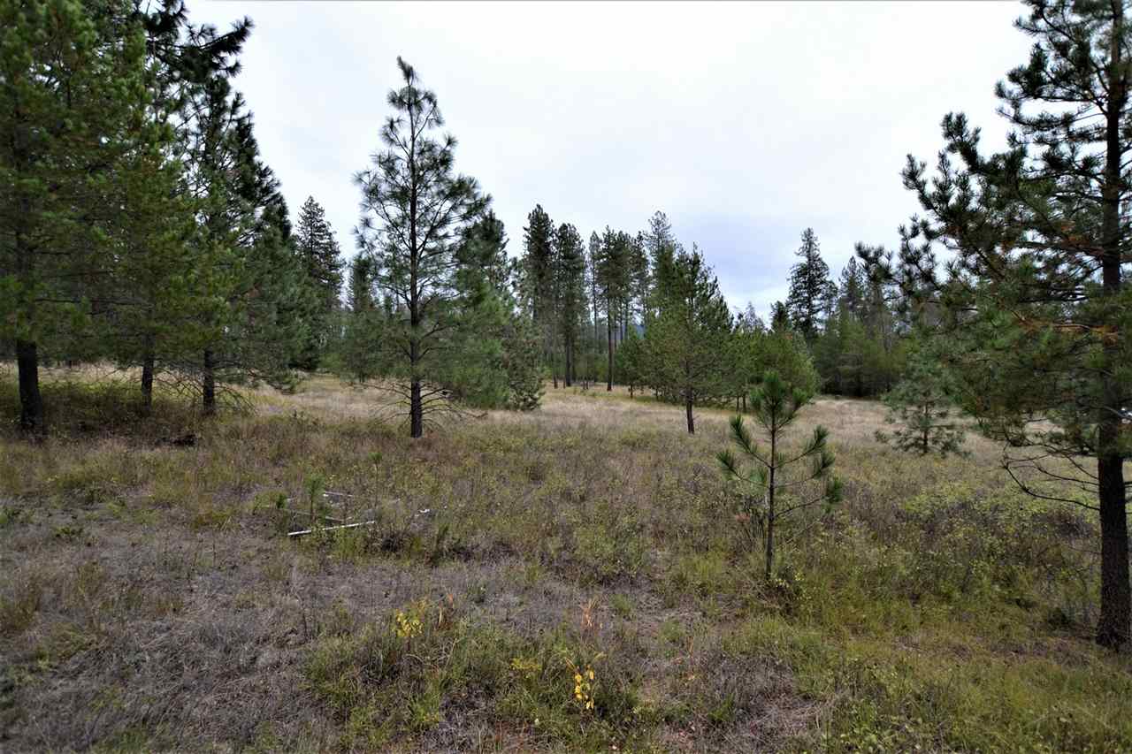 Nkn Darknell Road Elk, WA 99009 - Photo 10 of 20