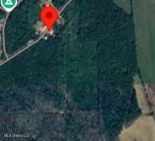 Turkey Creek Road Decatur, MS 39327 - Photo 3 of 3 56E7DDEC-8BA9-4509-8A30-15DBC55F4D1F_4_5