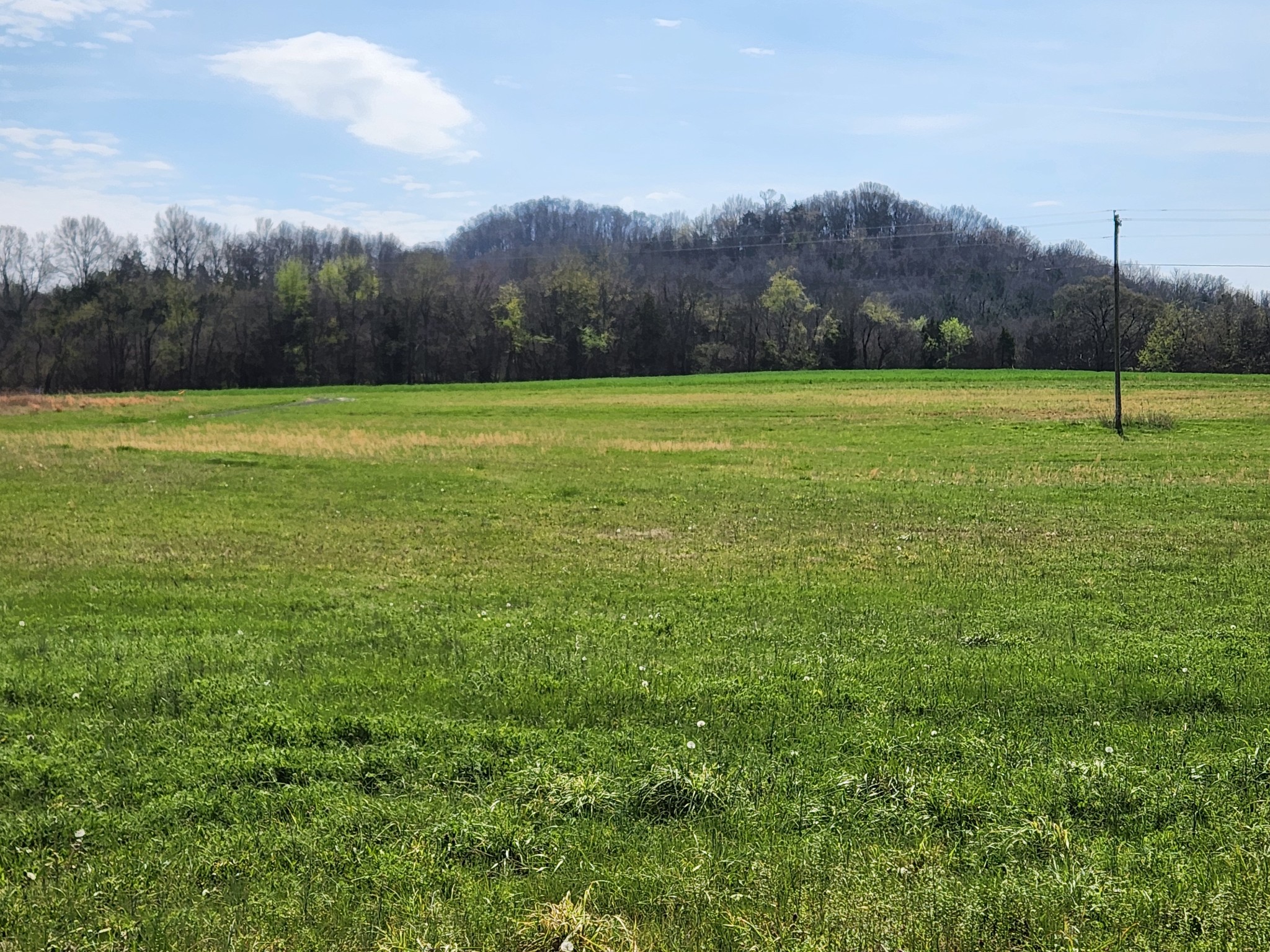 0 Browning Branch Road Bethpage, TN 37022 - Photo 3 of 3 a view of a grassy field with mountains in the background
