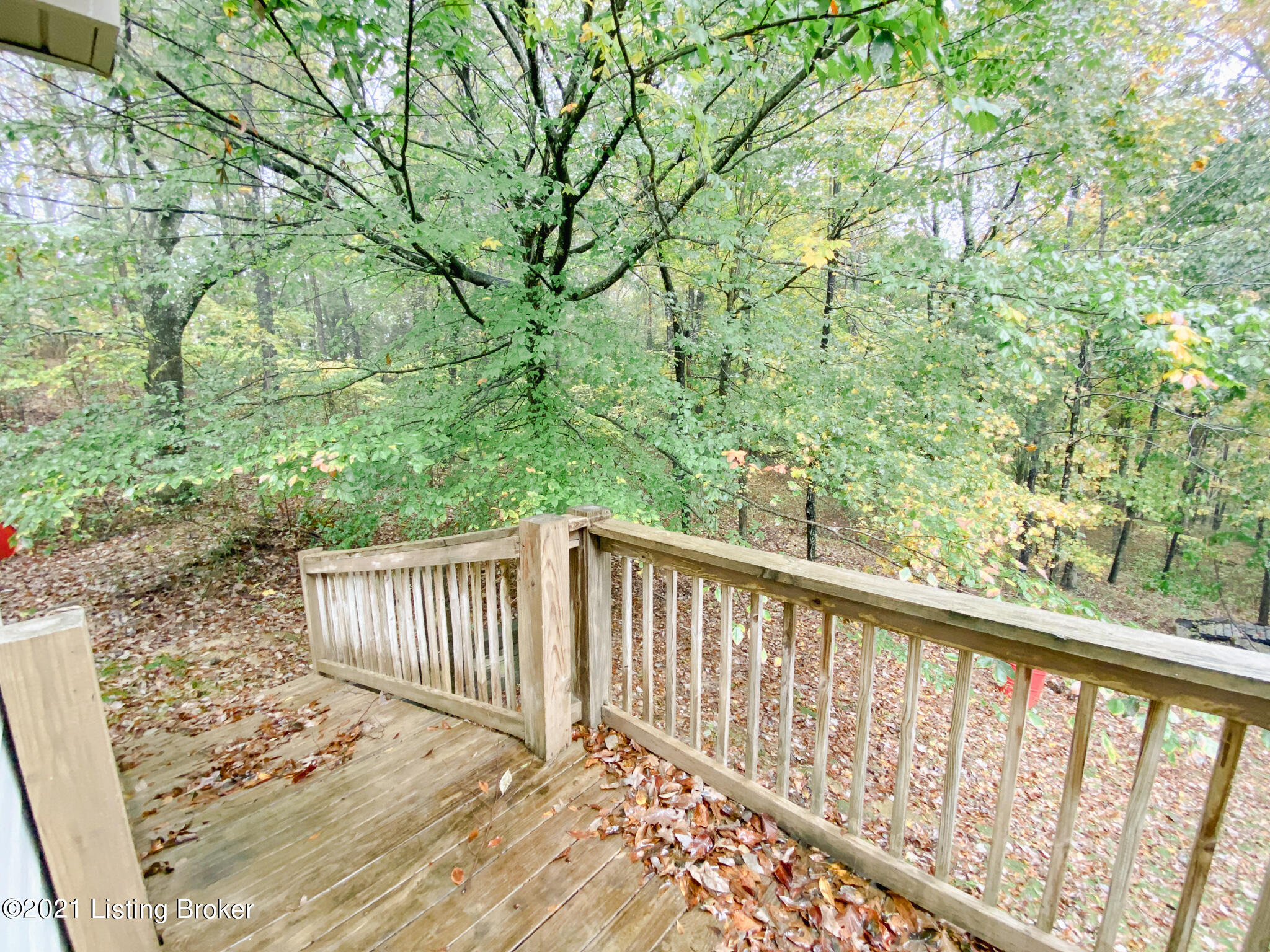 433 Wilson Road Caneyville, KY 42721 - Photo 21 of 35 IMG_4834 2