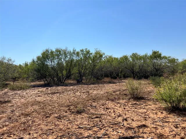 a view of a yard with trees