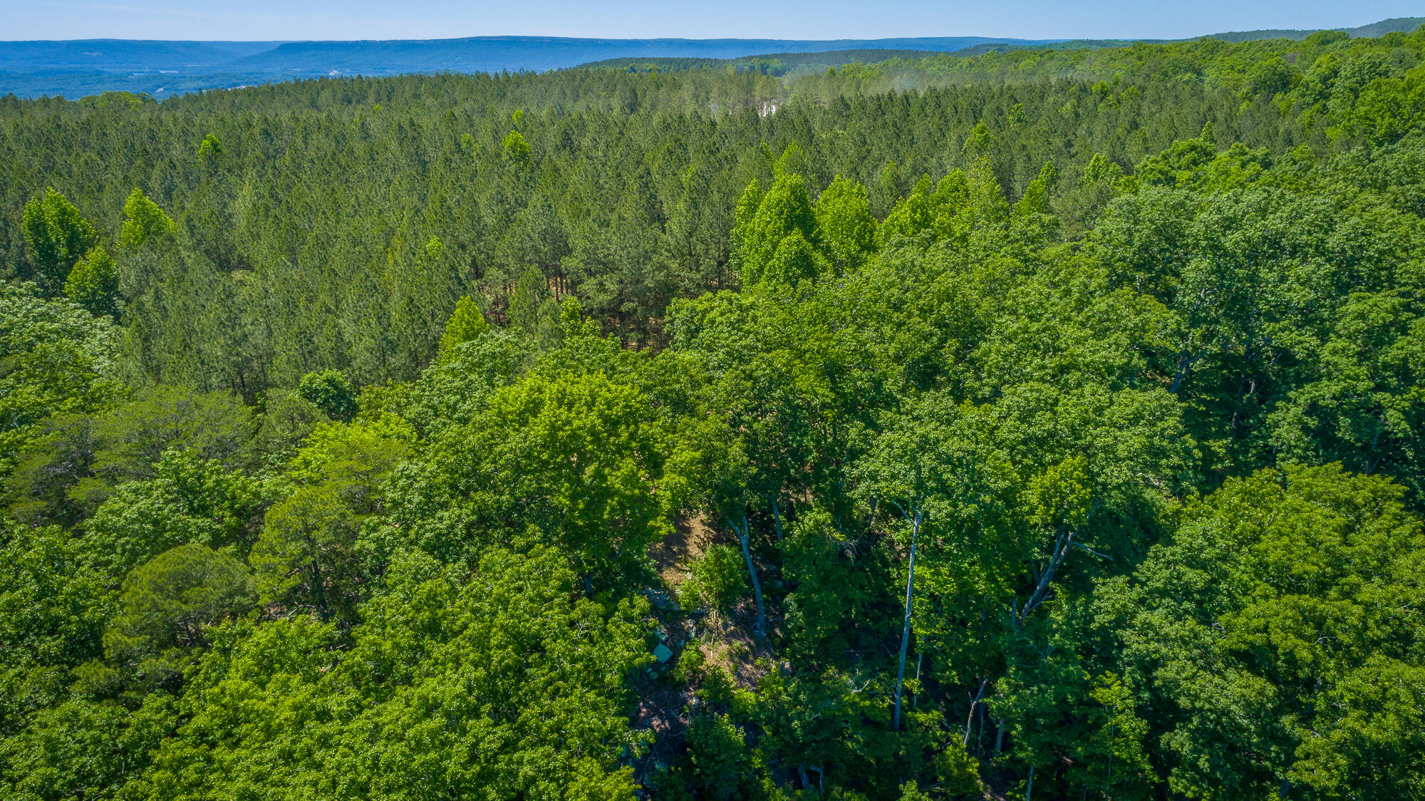 0 Split Rail Way, Unit 1349 Guild, TN 37340 - Photo 40 of 108 0 Split Rail Way - Lot 1349 HD-13