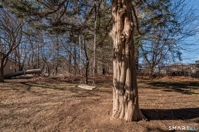 a view of a yard with trees