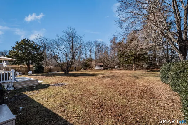 a view of dirt yard with a large tree
