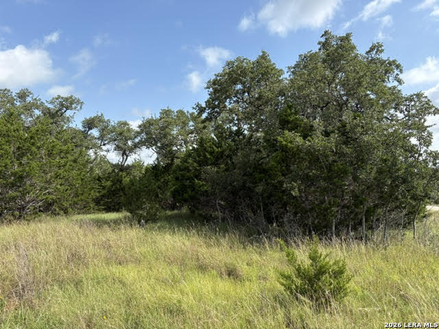 351 Ridge Point Spring Branch, TX 78070 - Photo 12 of 34