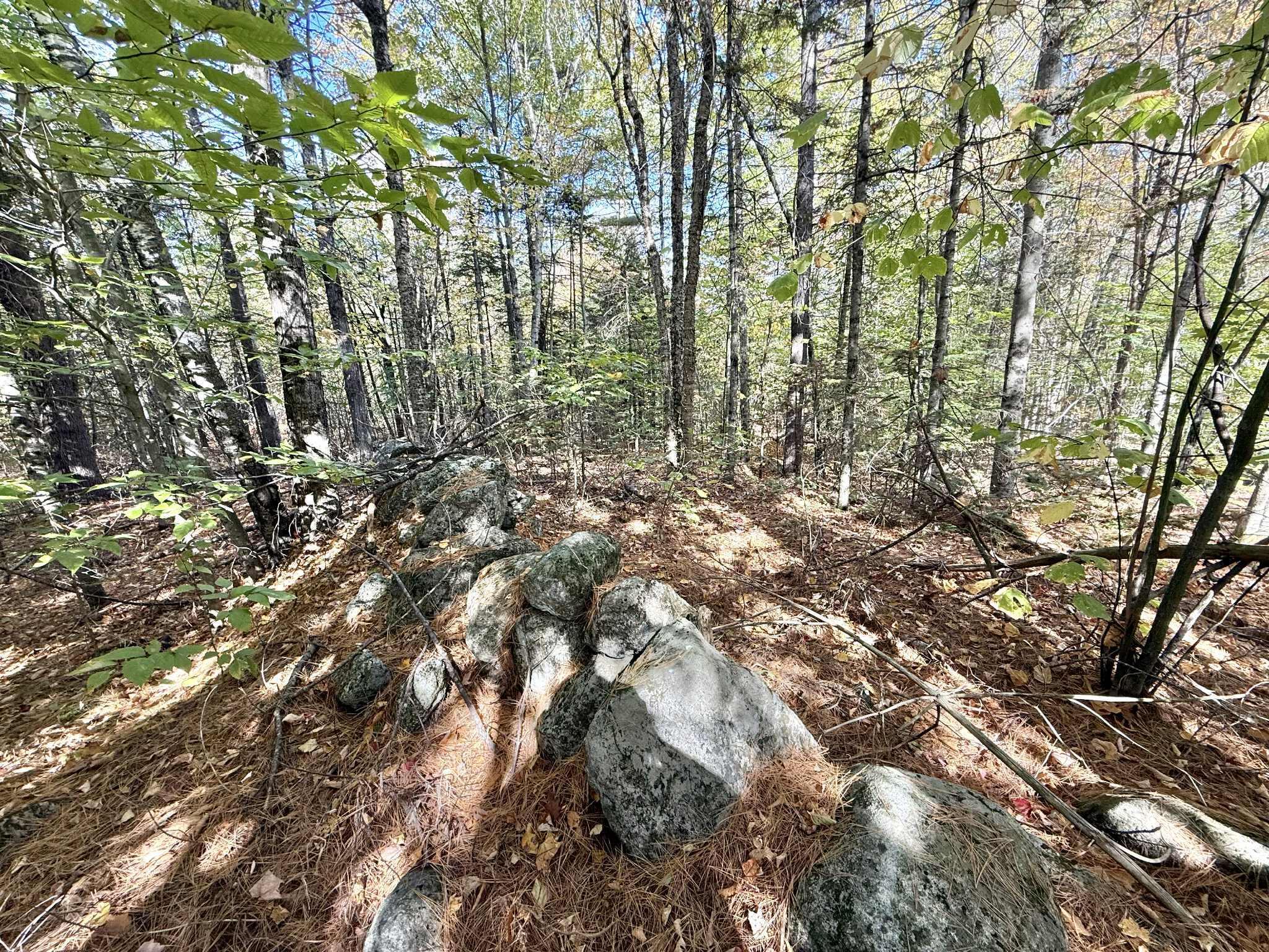 6 Tuell Hill Road Sumner, ME 04292 - Photo 2 of 7