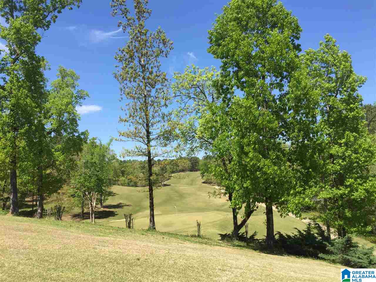 1099 Riviera Drive Calera, AL 35040 - Photo 43 of 43