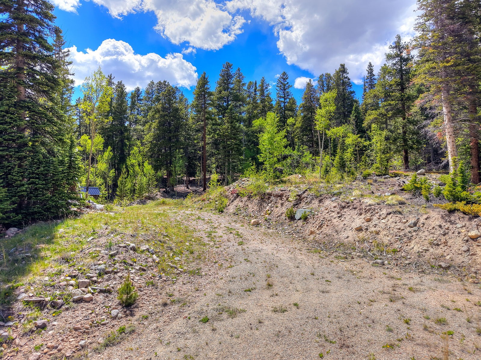253 Mine Dump Road Alma, CO 80420 - Photo 3 of 13