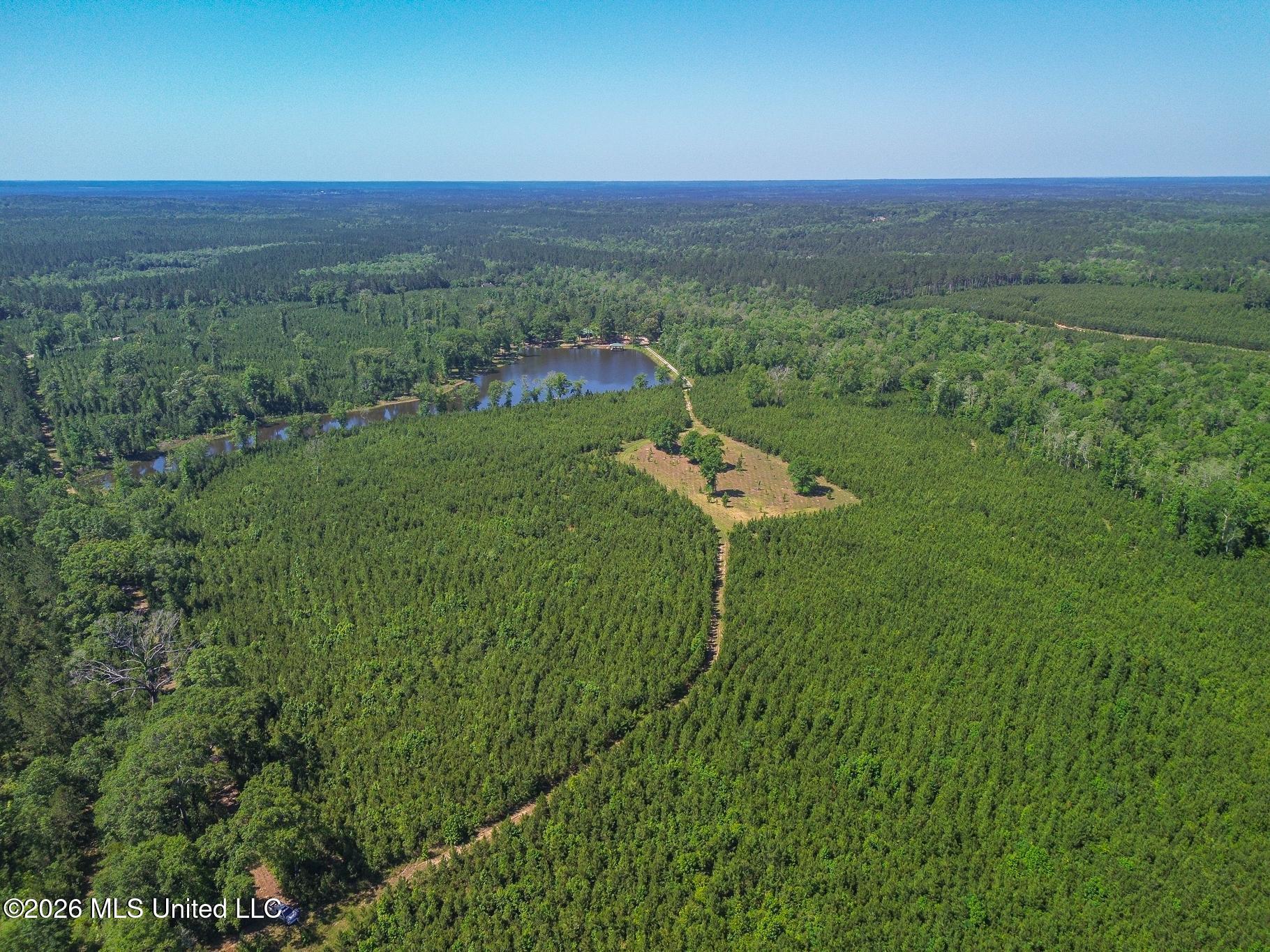 271 Shadeville Road Wiggins, MS 39577 - Photo 6 of 45 51426-6