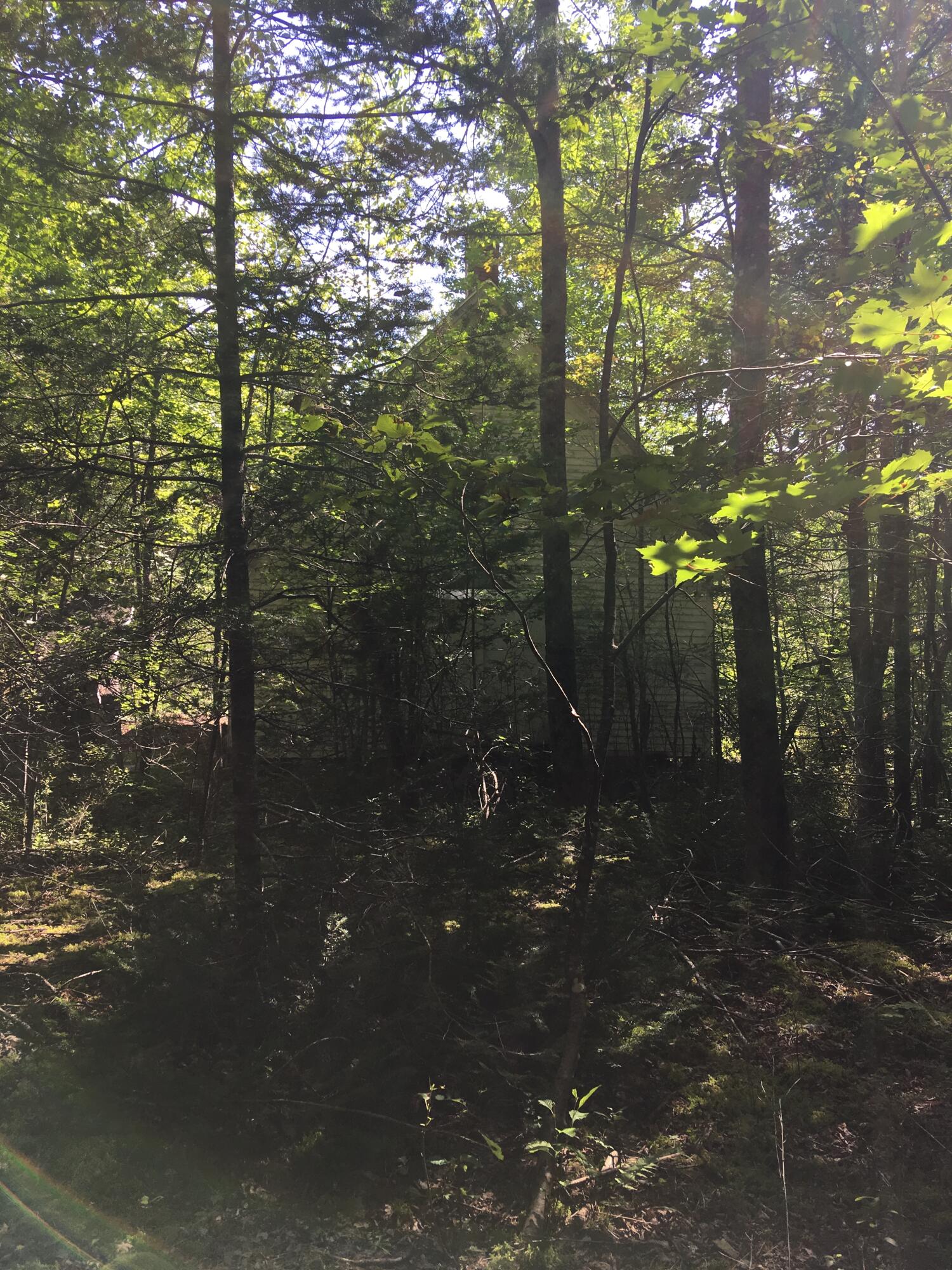 2068 Mariaville Road Ellsworth, ME 04605 - Photo 23 of 27 View from back
